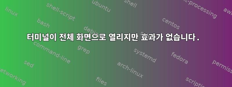 터미널이 전체 화면으로 열리지만 효과가 없습니다.