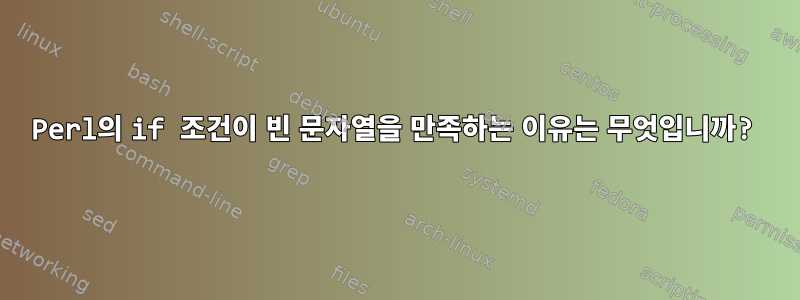 Perl의 if 조건이 빈 문자열을 만족하는 이유는 무엇입니까?