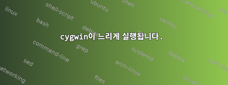 cygwin이 느리게 실행됩니다.