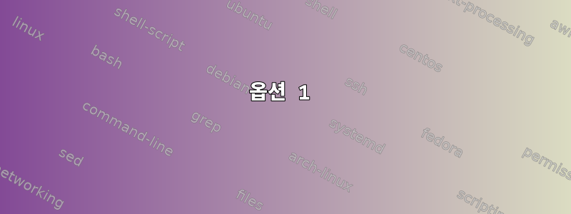 옵션 1