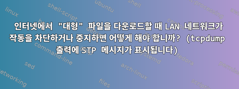 인터넷에서 "대형" 파일을 다운로드할 때 LAN 네트워크가 작동을 차단하거나 중지하면 어떻게 해야 합니까? (tcpdump 출력에 STP 메시지가 표시됩니다)