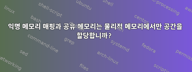 익명 메모리 매핑과 공유 메모리는 물리적 메모리에서만 공간을 할당합니까?