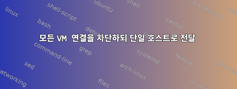 모든 VM 연결을 차단하되 단일 호스트로 전달