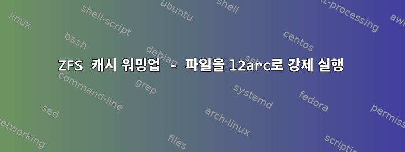 ZFS 캐시 워밍업 - 파일을 l2arc로 강제 실행