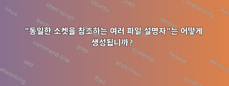 "동일한 소켓을 참조하는 여러 파일 설명자"는 어떻게 생성됩니까?