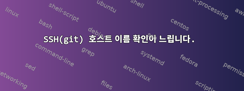 SSH(git) 호스트 이름 확인이 느립니다.