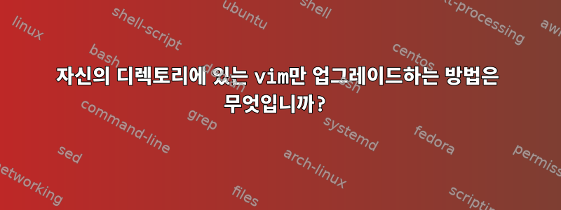 자신의 디렉토리에 있는 vim만 업그레이드하는 방법은 무엇입니까?