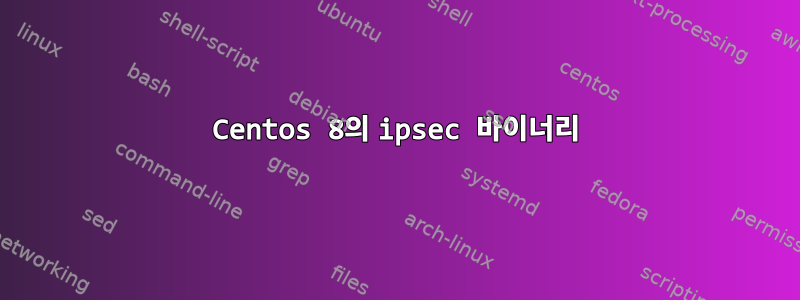 Centos 8의 ipsec 바이너리