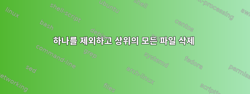 하나를 제외하고 상위의 모든 파일 삭제