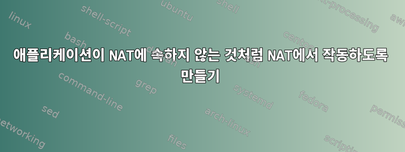 애플리케이션이 NAT에 속하지 않는 것처럼 NAT에서 작동하도록 만들기