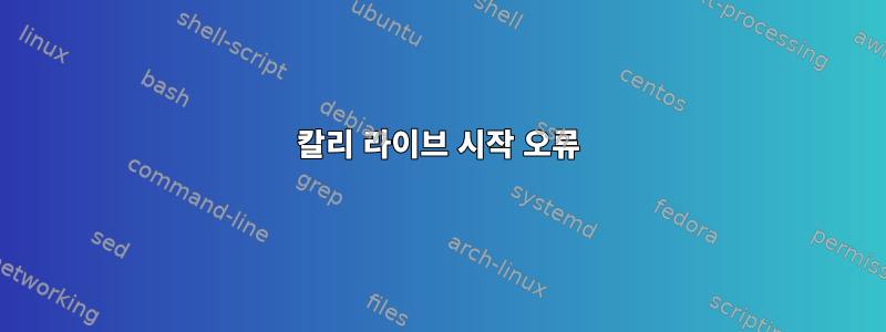 칼리 라이브 시작 오류