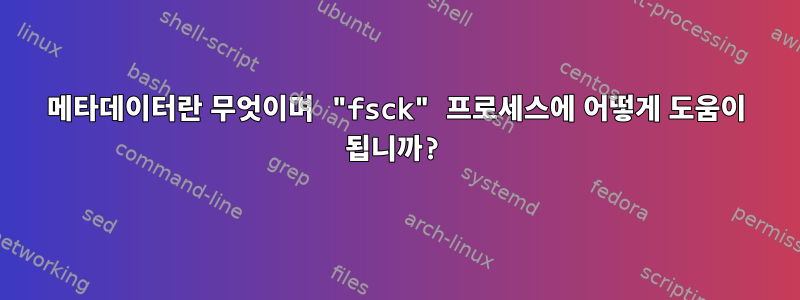 메타데이터란 무엇이며 "fsck" 프로세스에 어떻게 도움이 됩니까?