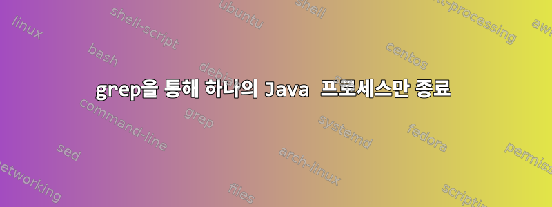 grep을 통해 하나의 Java 프로세스만 종료