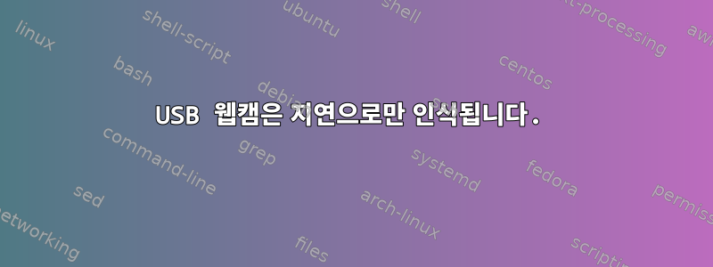 USB 웹캠은 지연으로만 인식됩니다.