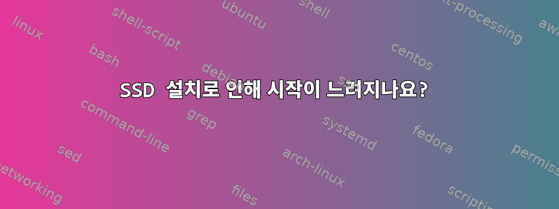 SSD 설치로 인해 시작이 느려지나요?