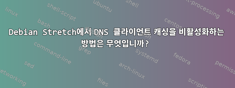 Debian Stretch에서 DNS 클라이언트 캐싱을 비활성화하는 방법은 무엇입니까?