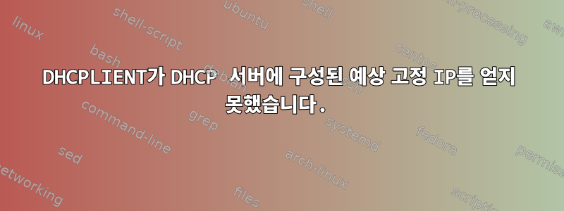 DHCPLIENT가 DHCP 서버에 구성된 예상 고정 IP를 얻지 못했습니다.