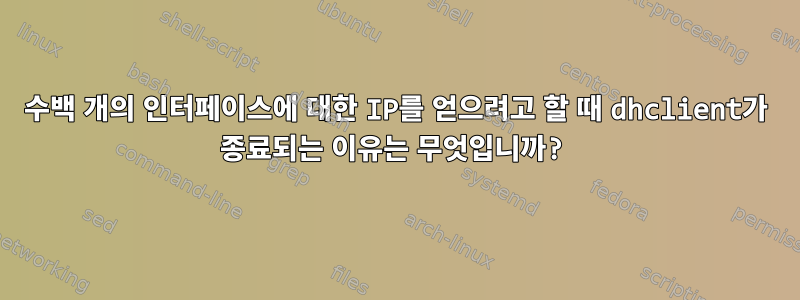 수백 개의 인터페이스에 대한 IP를 얻으려고 할 때 dhclient가 종료되는 이유는 무엇입니까?