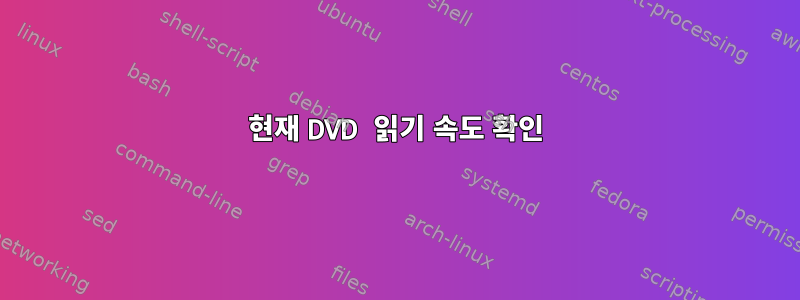 현재 DVD 읽기 속도 확인