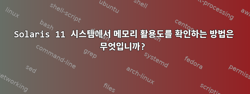 Solaris 11 시스템에서 메모리 활용도를 확인하는 방법은 무엇입니까?