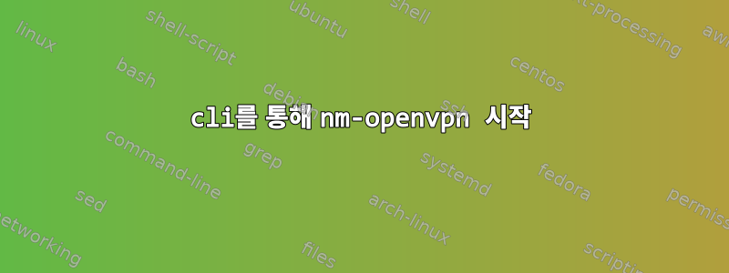 cli를 통해 nm-openvpn 시작