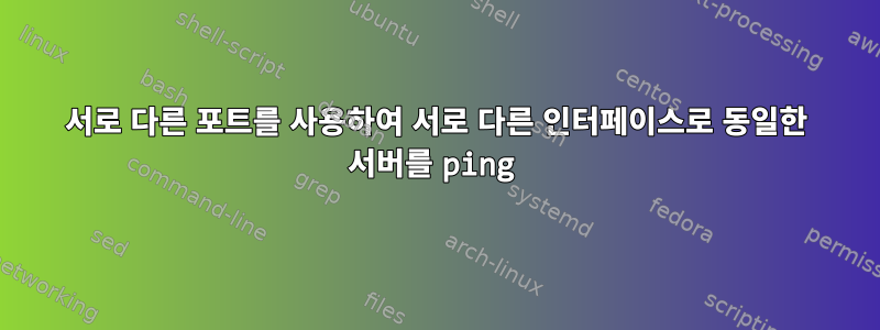 서로 다른 포트를 사용하여 서로 다른 인터페이스로 동일한 서버를 ping