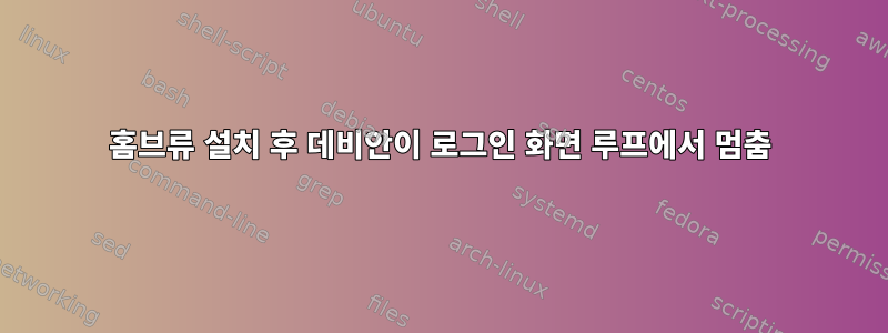 홈브류 설치 후 데비안이 로그인 화면 루프에서 멈춤