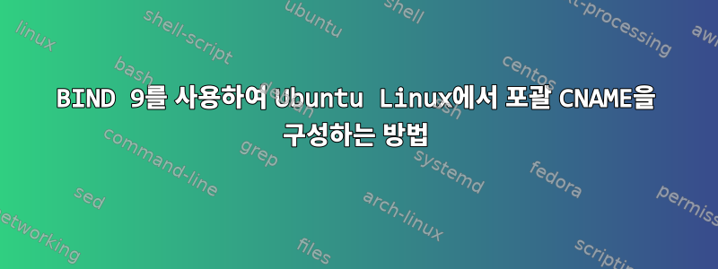 BIND 9를 사용하여 Ubuntu Linux에서 포괄 CNAME을 구성하는 방법