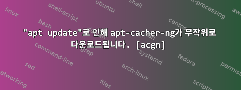 "apt update"로 인해 apt-cacher-ng가 무작위로 다운로드됩니다. [acgn]