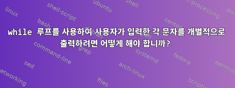 while 루프를 사용하여 사용자가 입력한 각 문자를 개별적으로 출력하려면 어떻게 해야 합니까?