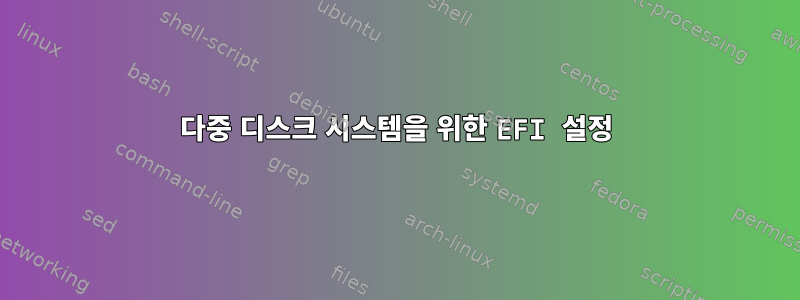 다중 디스크 시스템을 위한 EFI 설정