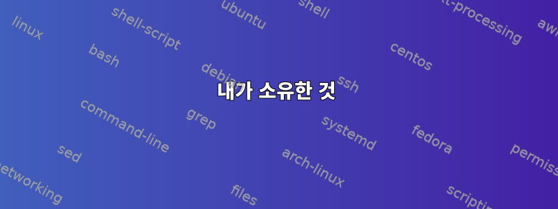 내가 소유한 것