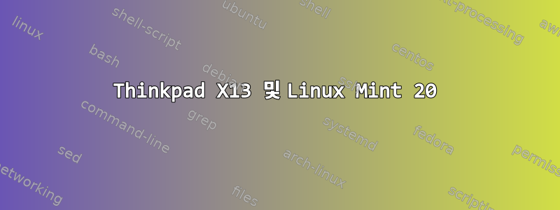 Thinkpad X13 및 Linux Mint 20