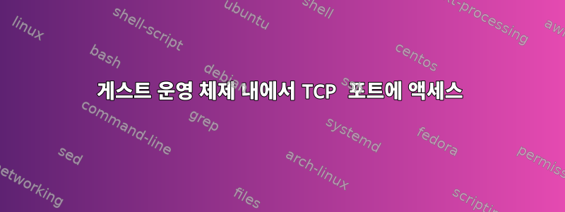 게스트 운영 체제 내에서 TCP 포트에 액세스