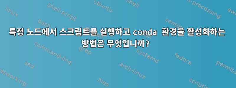 특정 노드에서 스크립트를 실행하고 conda 환경을 활성화하는 방법은 무엇입니까?