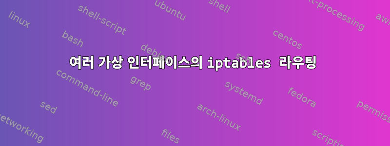 여러 가상 인터페이스의 iptables 라우팅