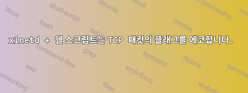 xinetd + 쉘 스크립트는 TCP 패킷의 플래그를 에코합니다.