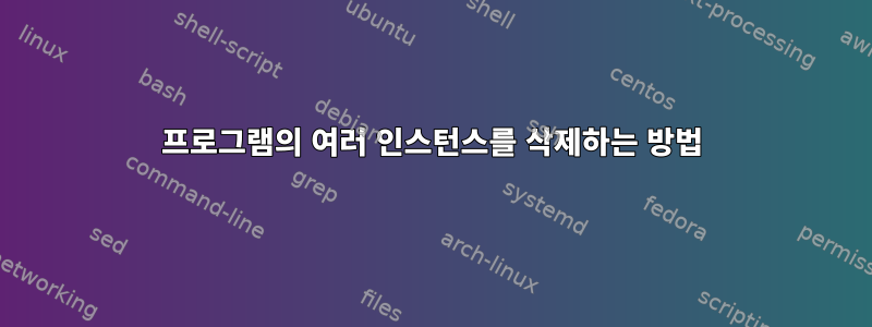 프로그램의 여러 인스턴스를 삭제하는 방법