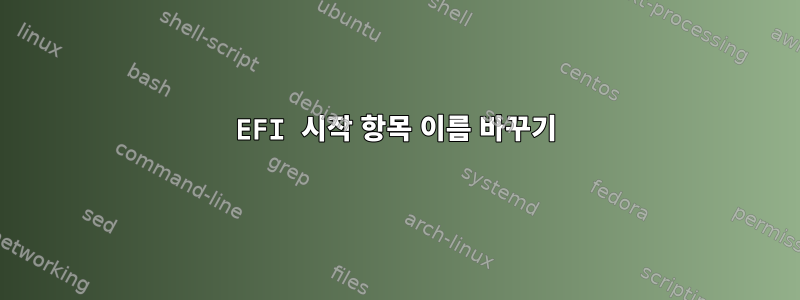 EFI 시작 항목 이름 바꾸기