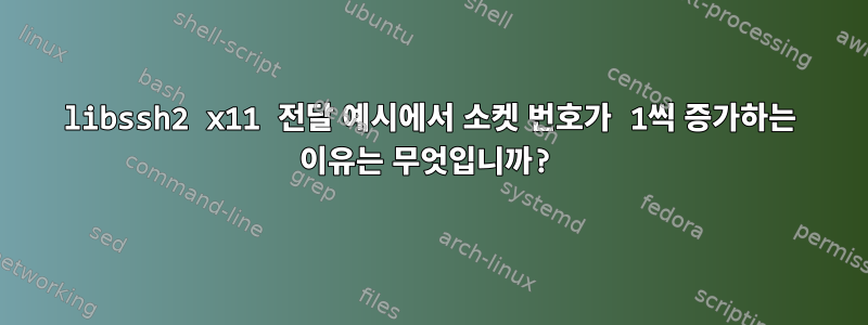 libssh2 x11 전달 예시에서 소켓 번호가 1씩 증가하는 이유는 무엇입니까?