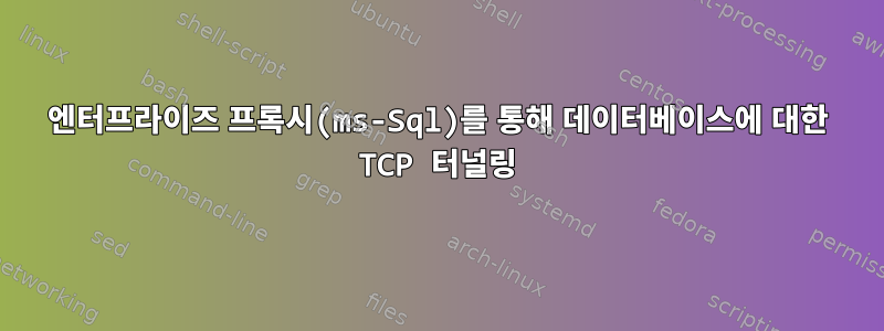 엔터프라이즈 프록시(ms-Sql)를 통해 데이터베이스에 대한 TCP 터널링