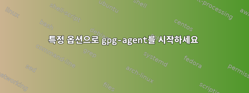 특정 옵션으로 gpg-agent를 시작하세요