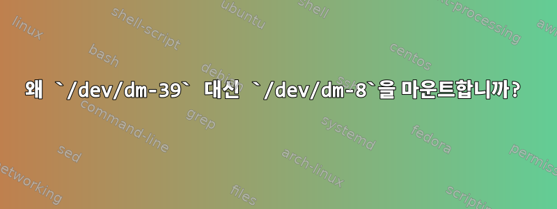 왜 `/dev/dm-39` 대신 `/dev/dm-8`을 마운트합니까?