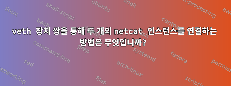 veth 장치 쌍을 통해 두 개의 netcat 인스턴스를 연결하는 방법은 무엇입니까?