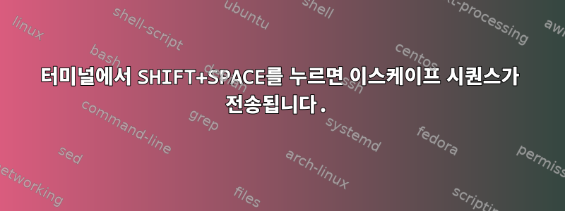 터미널에서 SHIFT+SPACE를 누르면 이스케이프 시퀀스가 ​​전송됩니다.