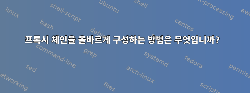 프록시 체인을 올바르게 구성하는 방법은 무엇입니까?