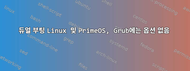 듀얼 부팅 Linux 및 PrimeOS, Grub에는 옵션 없음