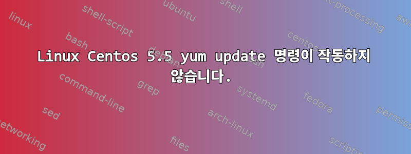 Linux Centos 5.5 yum update 명령이 작동하지 않습니다.