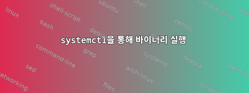 systemctl을 통해 바이너리 실행