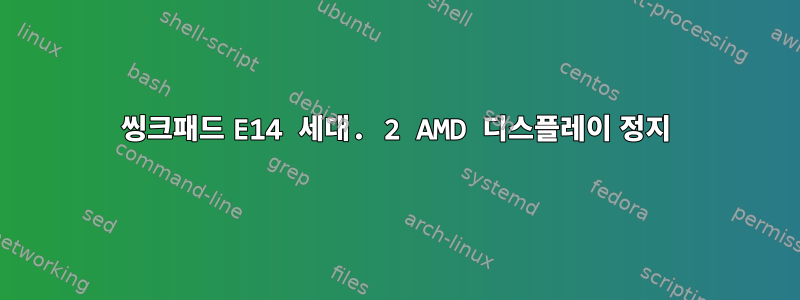 씽크패드 E14 세대. 2 AMD 디스플레이 정지